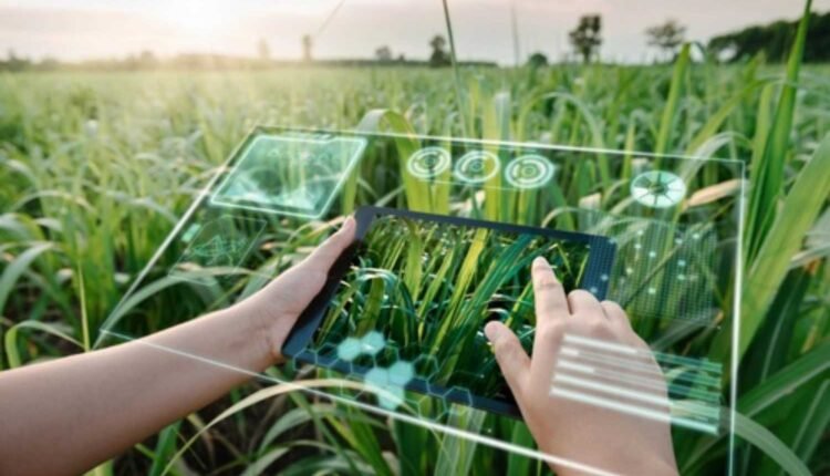 India expands AI in Agriculture to strengthen farm support