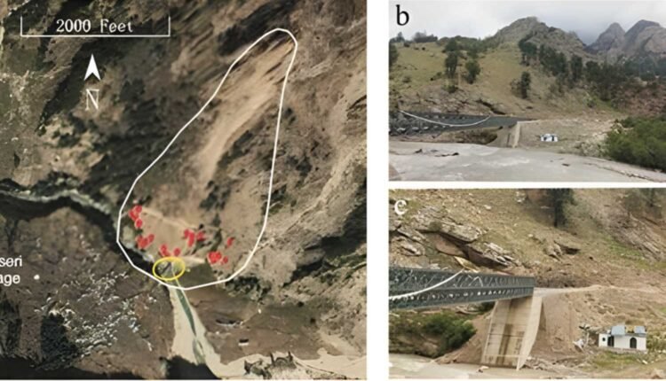 Deodhar trees offer insights into Himalayan climate risks