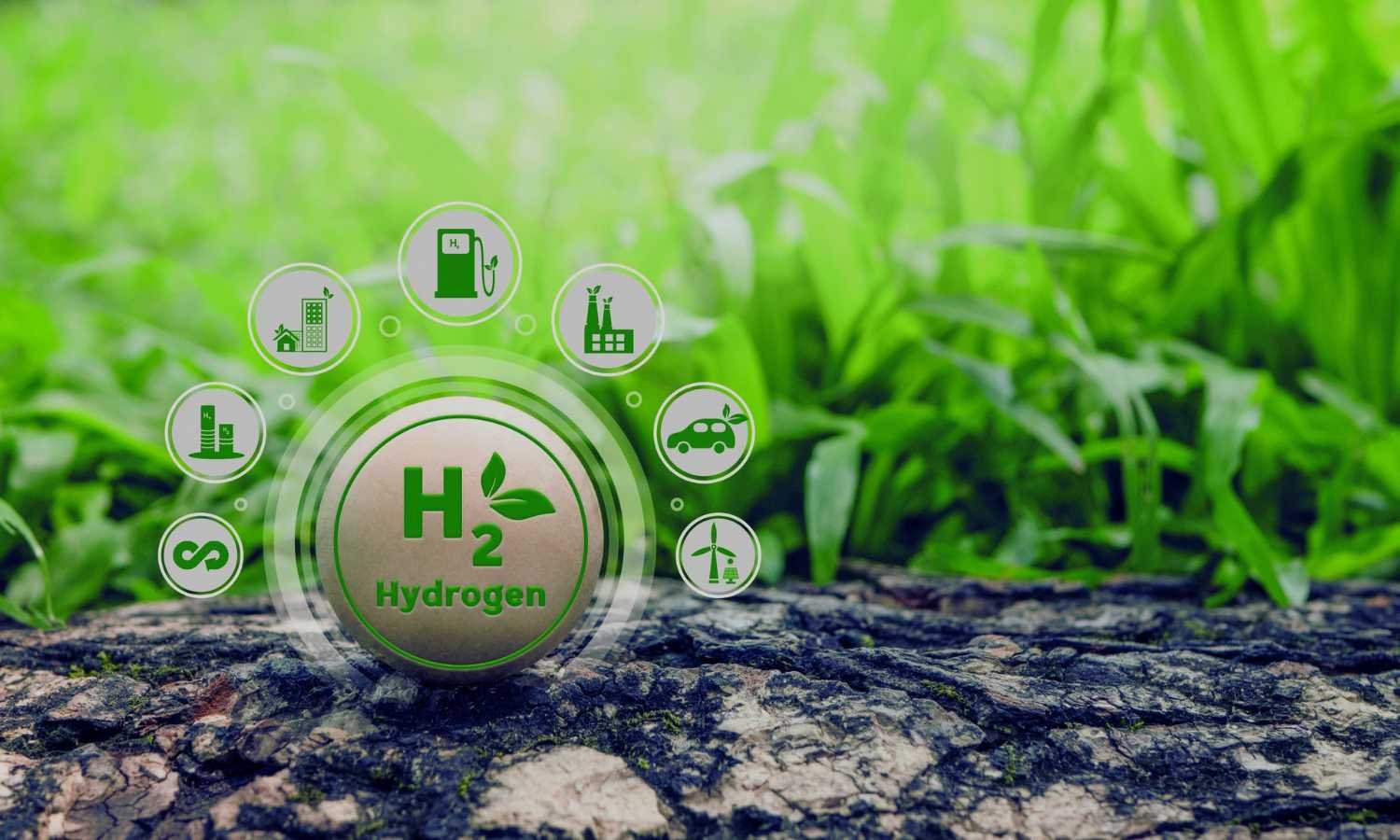 Government boosts India refining capacity and clean fuels