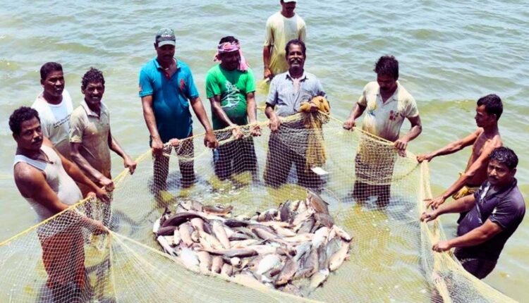 Mayabunder fishing harbour gets Centre’s nod