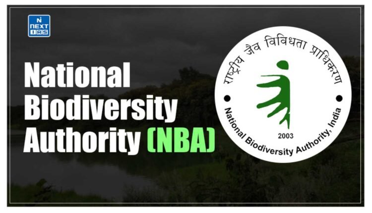 NBA disburses ₹17 lakh under ABS mechanism