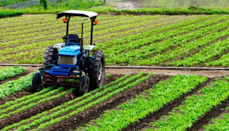 Agriculture GVA growth rises to 10.4% in 2024-25