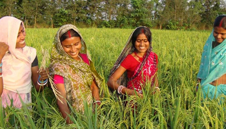 10,000 FPOs scheme sees 21.96 lakh women farmers
