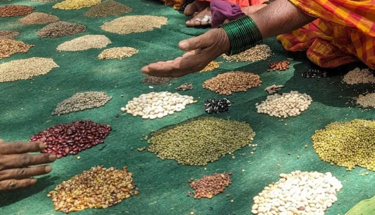 Fake agri-inputs: Centre signs MoU with Department of Posts