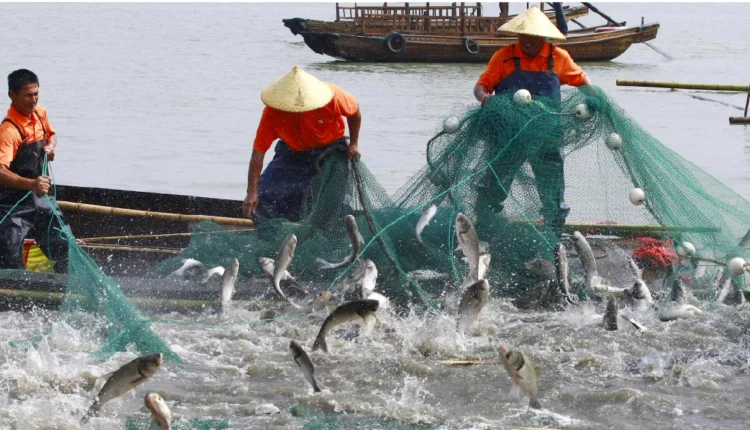 Rajiv Ranjan Singh on fisheries and dairy growth