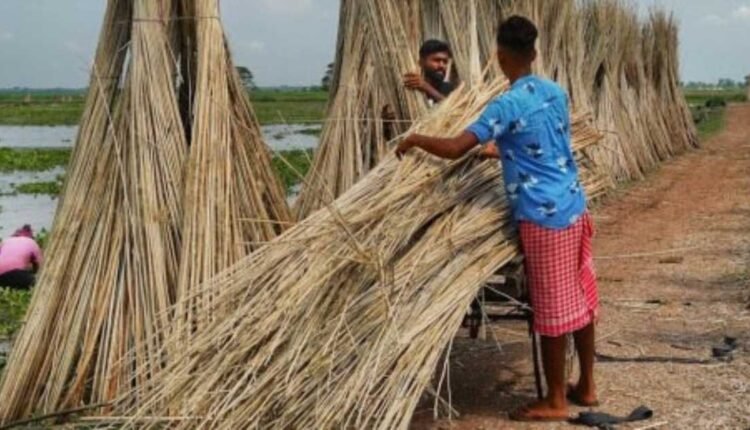 MSP Raw Jute 2026-27 approved at Rs 5,925