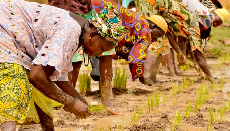 Multi-state cooperative societies set up by Union Cabinet