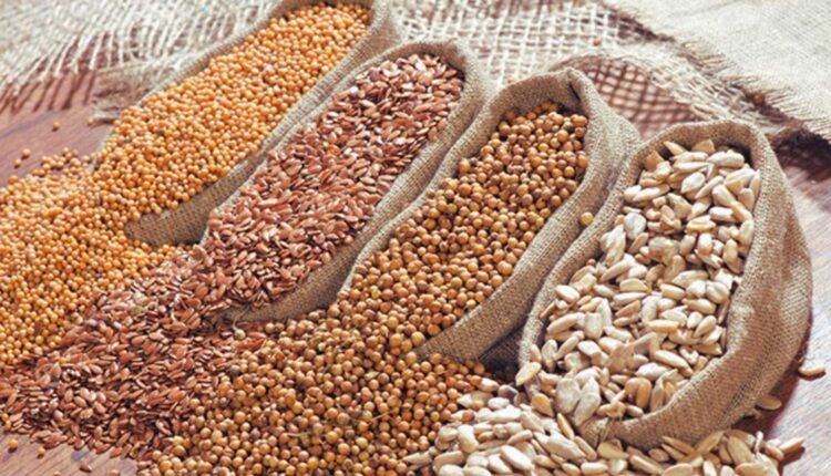 Oilseed production hits 429.89 lakh tonnes in 2024-25