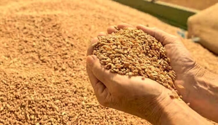Wheat exports approval: Govt clears 25 LMT shipment