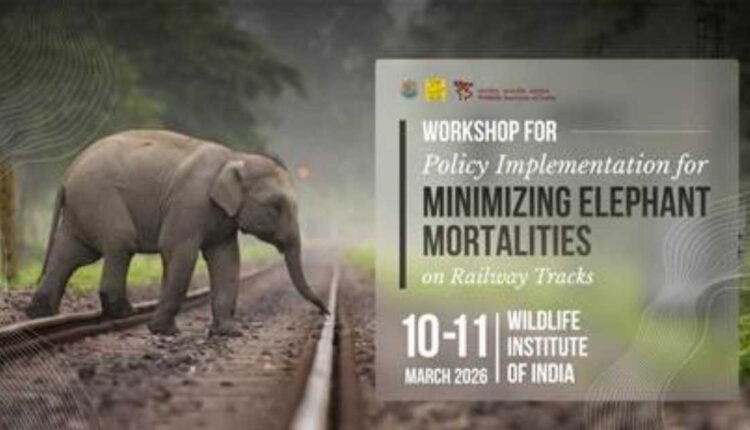 Elephant train collisions: 77 railway stretches prioritised