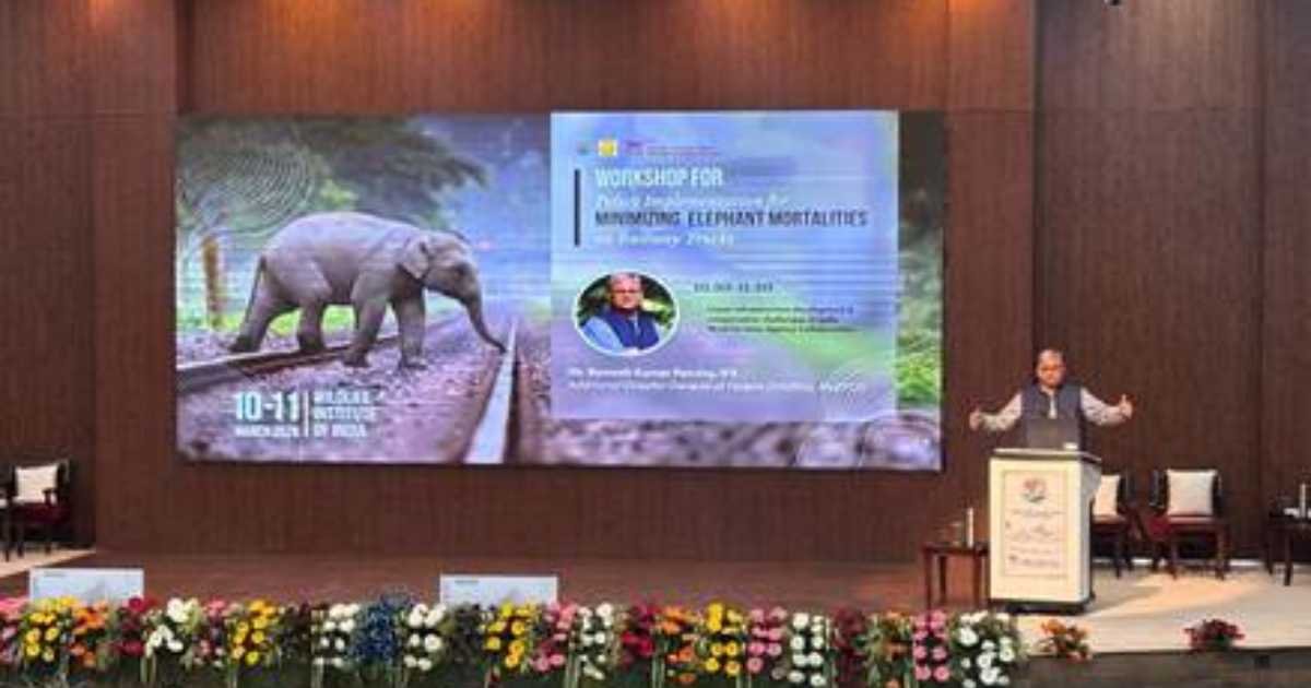 Elephant train collisions: 77 railway stretches prioritised