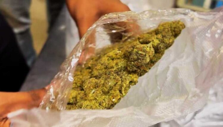 Julurupadu ganja seizure exposes smuggling network