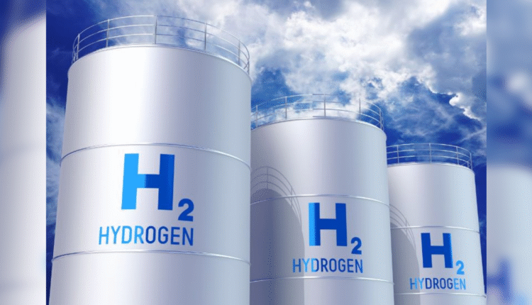 India green hydrogen capacity reaches 8,000 TPA