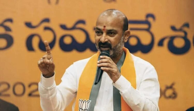 South representation row over delimitation