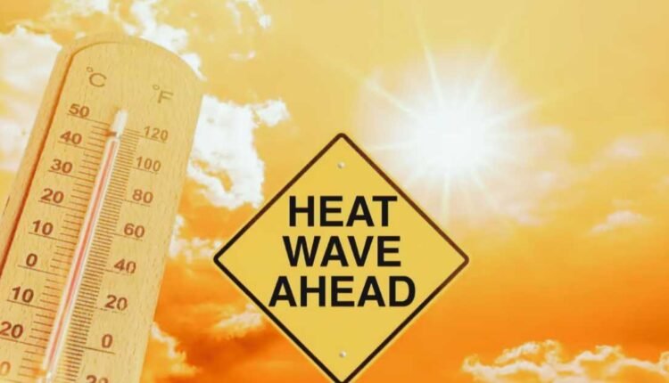 IMD heatwave guidance as temperatures rise in India