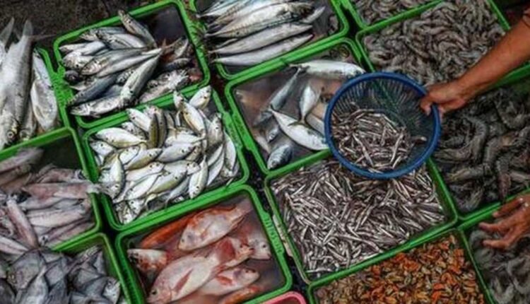 India seafood exports reach record high in FY26