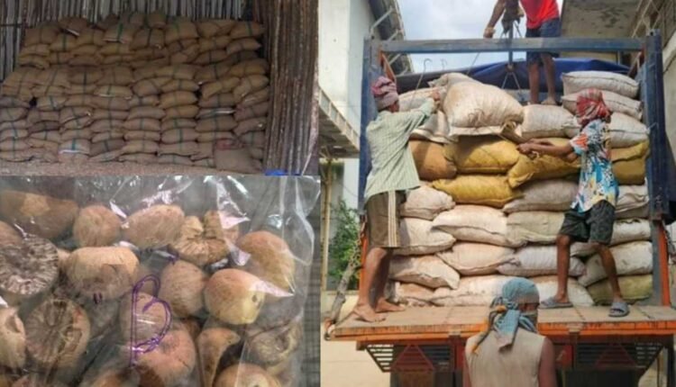 Smuggled areca nuts seized by DRI in North-East