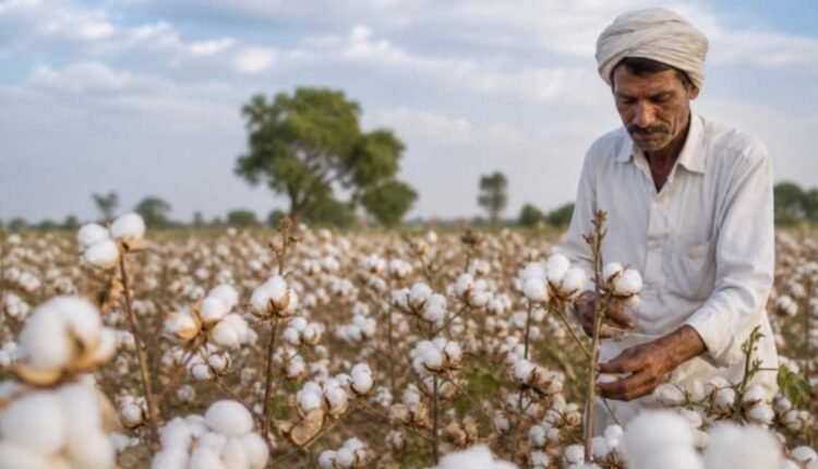 Cotton productivity mission gets Cabinet approval