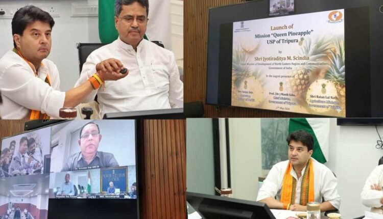 Queen Pineapple Mission launched in Tripura