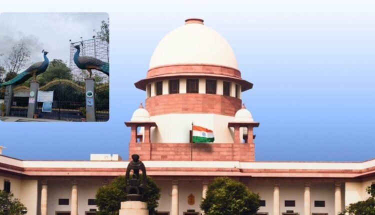 KBR National Park tree felling stayed by Supreme Court