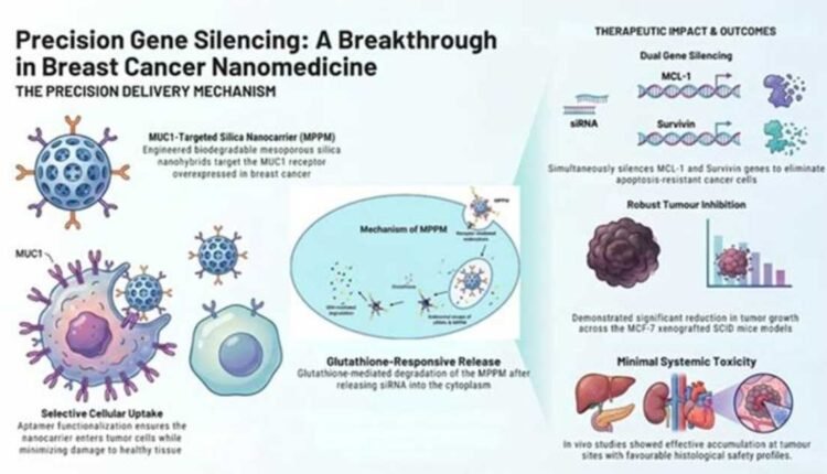 Targeted nanomedicine shows promise against cancer
