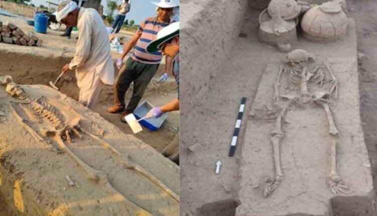 Rakhigarhi skeletal remains sent for research