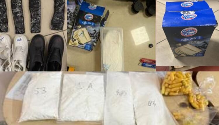 DRI cocaine seizure nets 2 kg in Surat