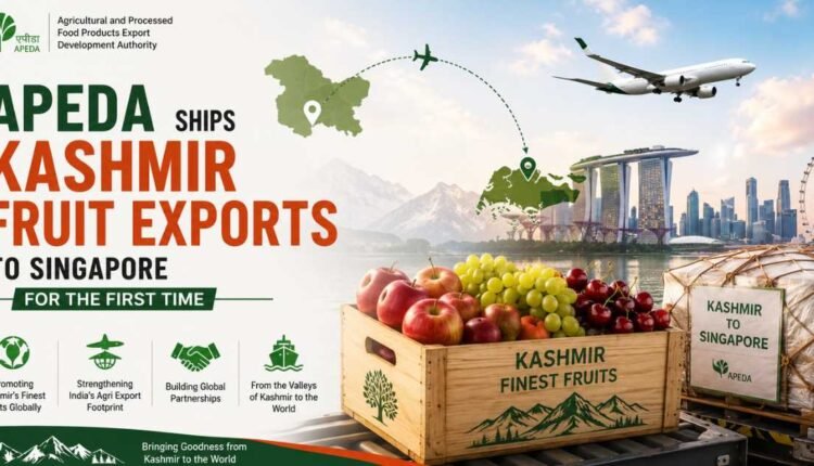 Kashmir fruit exports reach Singapore