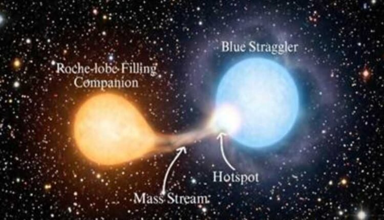 Blue Straggler Star discovery offers rare evidence