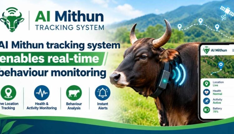 AI Mithun tracking system monitors herd behaviour