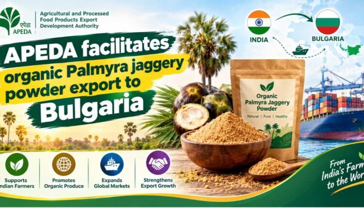APEDA flags off Palmyra jaggery powder export